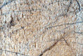 Terrain Sample in Argyre Planitia