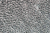 Frost Monitoring at Crater