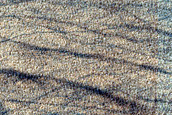 Terrain Sample in Southern Hellas Planitia