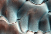 Dune Monitoring in Lyot Crater