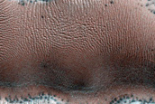 Dune Monitoring