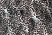 Frost Monitoring at Gan Crater