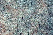 Scalloped Depressions in Utopia Planitia