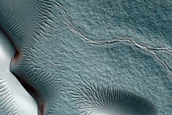 Dune Monitoring