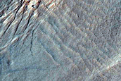 Gully Monitoring