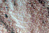 Frost Monitoring in Crater