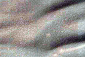 USGS Dune Database Entry Number 1182-683
