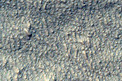 Scarp Monitoring