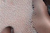 Dune Monitoring in Crater