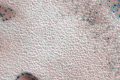 Dune Monitoring in Crater