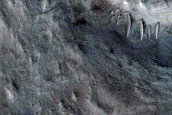 Possible Delta