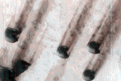 Dune Monitoring in Lyot Crater