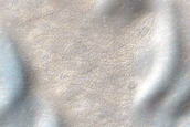 USGS Dune Database Entry Number 1373-714