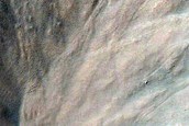 Raga Crater Monitoring