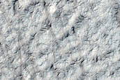 Terrain Sample and Search for Mars Polar Lander