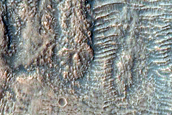 Gully Monitoring