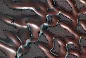 Dune Monitoring in Crater