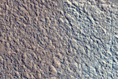 Unit Contact in Utopia Planitia