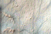 Gully Monitoring