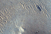Terrain Sample