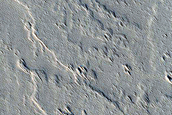 Candidate Recent Impact Site
