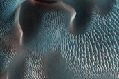 Monitoring USGS Dune Database 0419-449