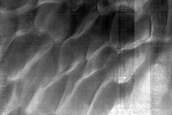 Aonia Terra Dune Field Changes