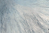 Gully Monitoring