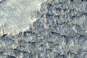Scarp Monitoring