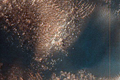 Dune Monitoring in Renaudot Crater