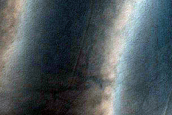 USGS Dune Database Entry Number 2216-690