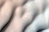USGS Dune Database Entry Number 1121-681