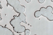 South Polar Residual Cap Site