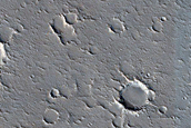 Sample in Utopia Planitia