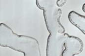 South Polar Residual Cap Site