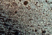 Terrain Sample