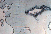 Monitoring South Polar Residual Cap Site