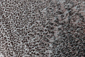 Frost Monitoring at Crater