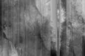 Dune Monitoring in Lyot Crater