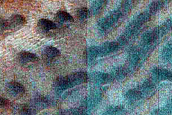 Dune Monitoring in Crater