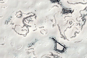 Monitoring of South Polar Residual Cap Albedo Features