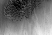 Dune Monitoring in Crater