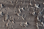 Daedalia Planum Albedo Variations