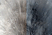 Terrain Sample