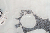 Terrain Sample