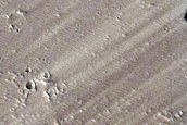 Candidate Recent Impact Site