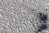 Candidate Recent Impact Site