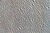 Terrain Sample North of Elysium Planitia