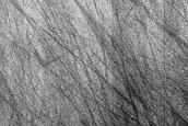 Terrain Sample