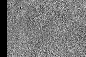 Terrain Sample